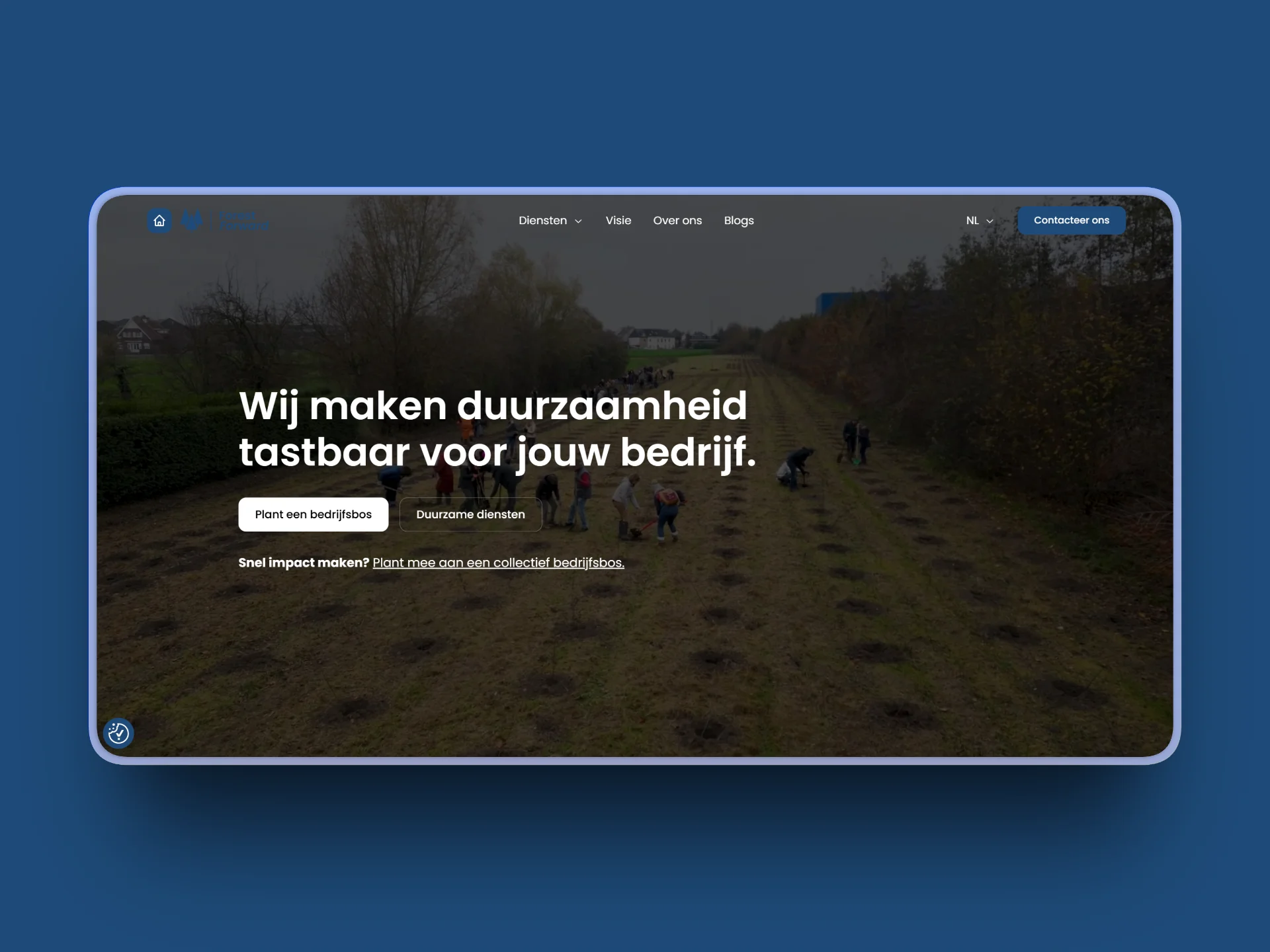 Three brands, one story: WeForward case study
