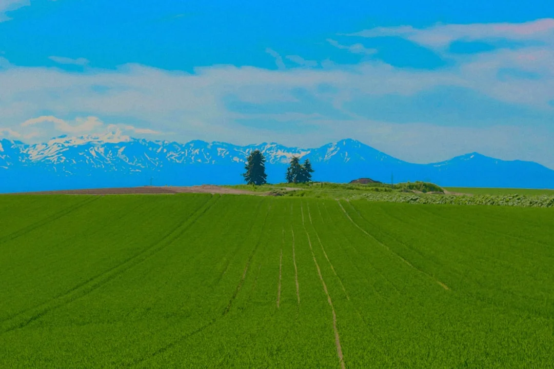 Moz, Surfer SEO of Clearscope: beste content audit tools voor adviesbureaus (2026)